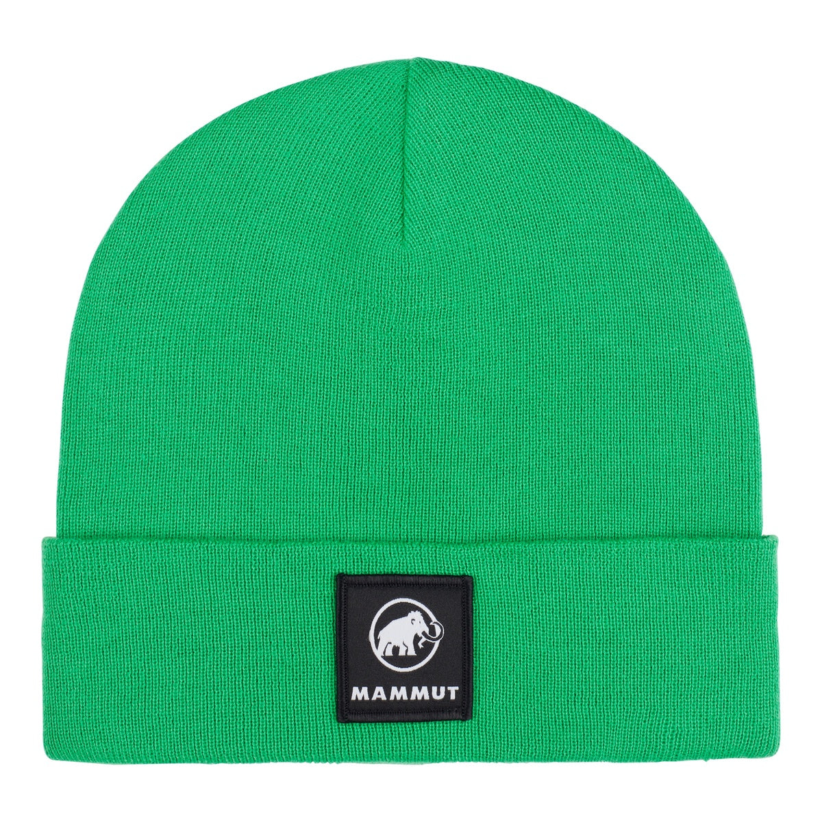 Caciula Mammut Fedoz Pinea