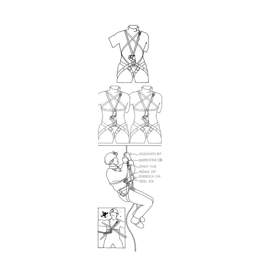 Vesta Serpentine C30