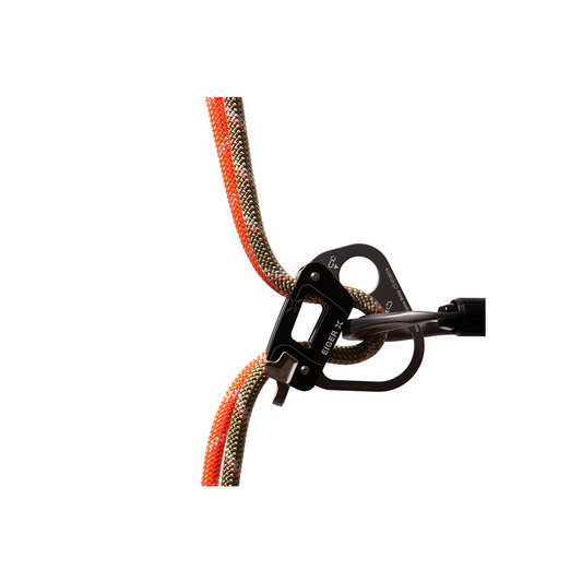 Coarda Dinamica Alpine 8,0 mm