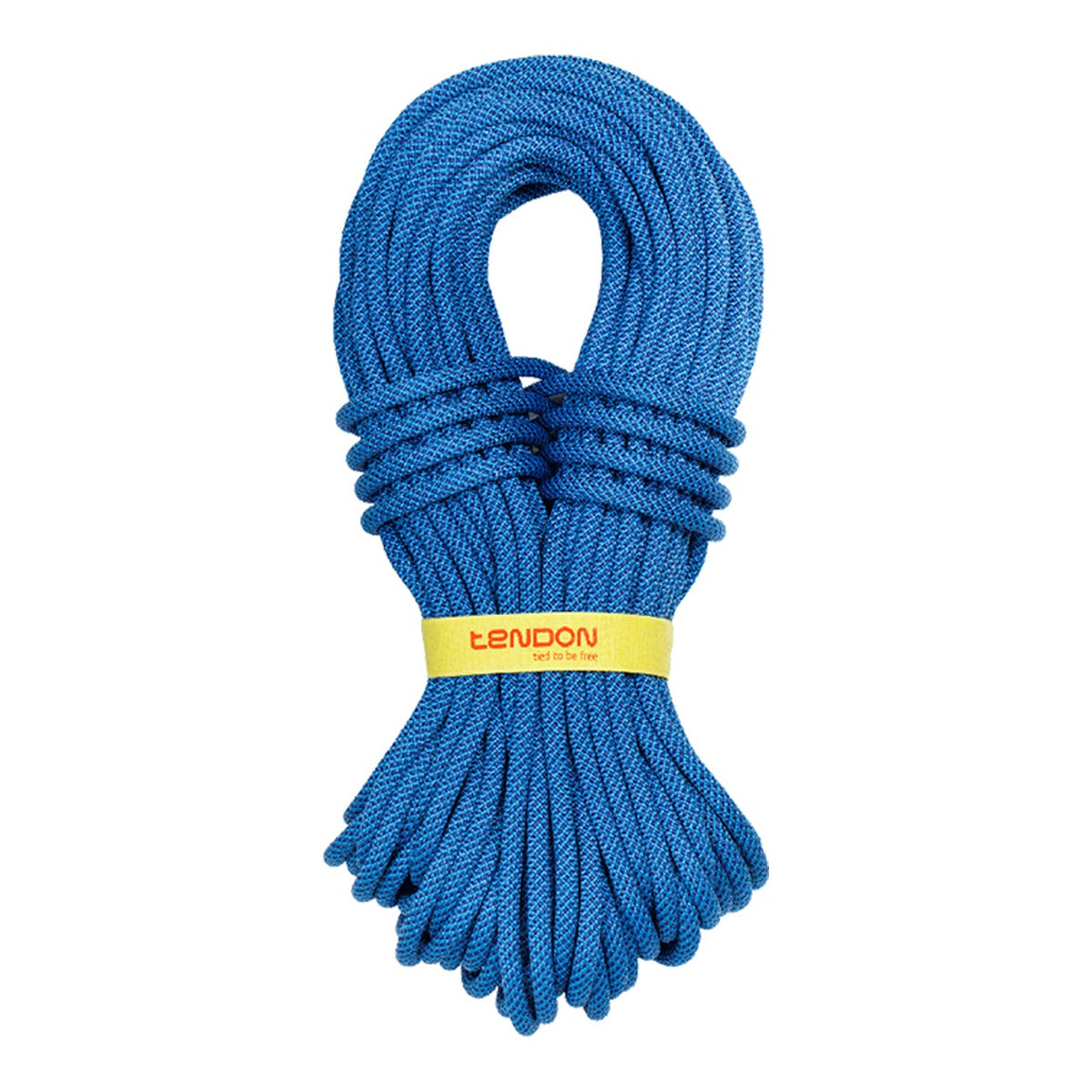 Coarda Dinamica Tendon Ambition 10.5 Blue