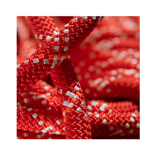 Coarda Dinamica Mammut Gym Classic 9.5 Raspberry-White 40M