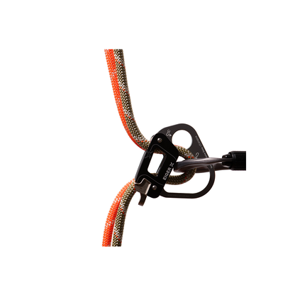 Coarda Dinamica Alpine 8,0 mm