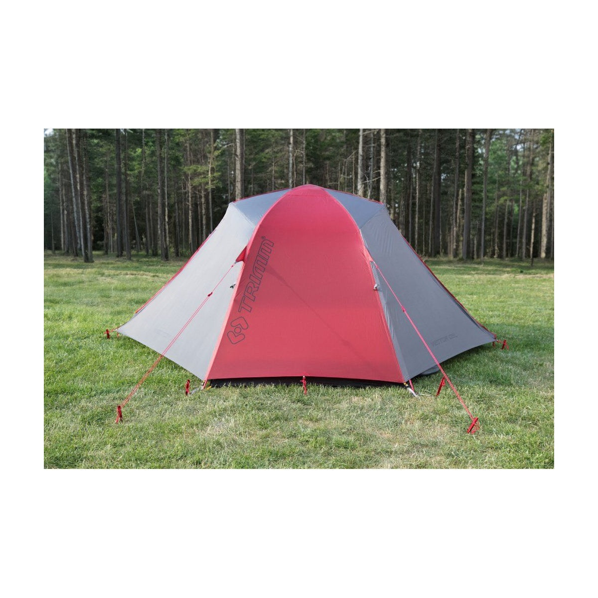 Cort Trimm Vector Dsl Bordo/ Grey