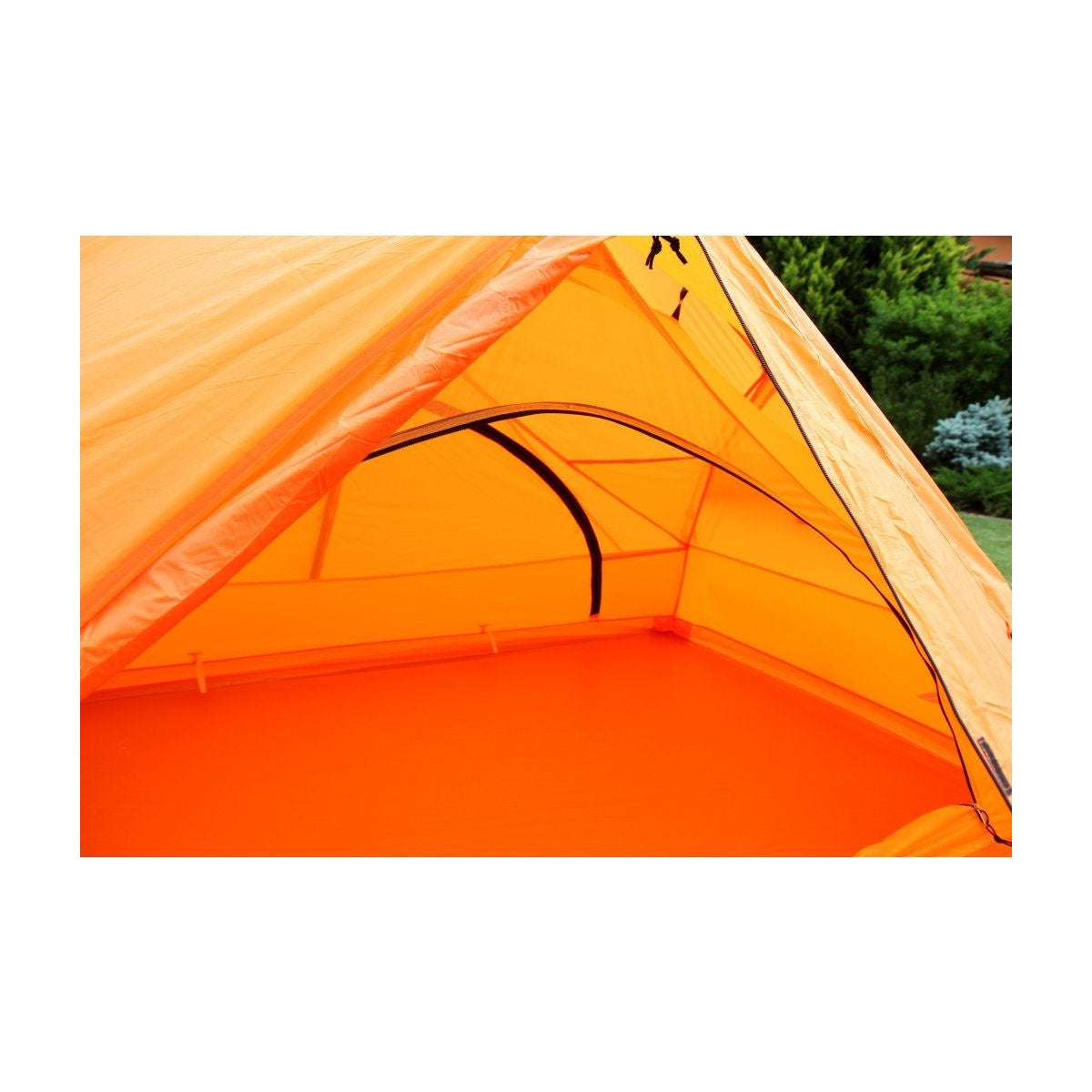 Cort Trimm Pioneer Dsl Orange