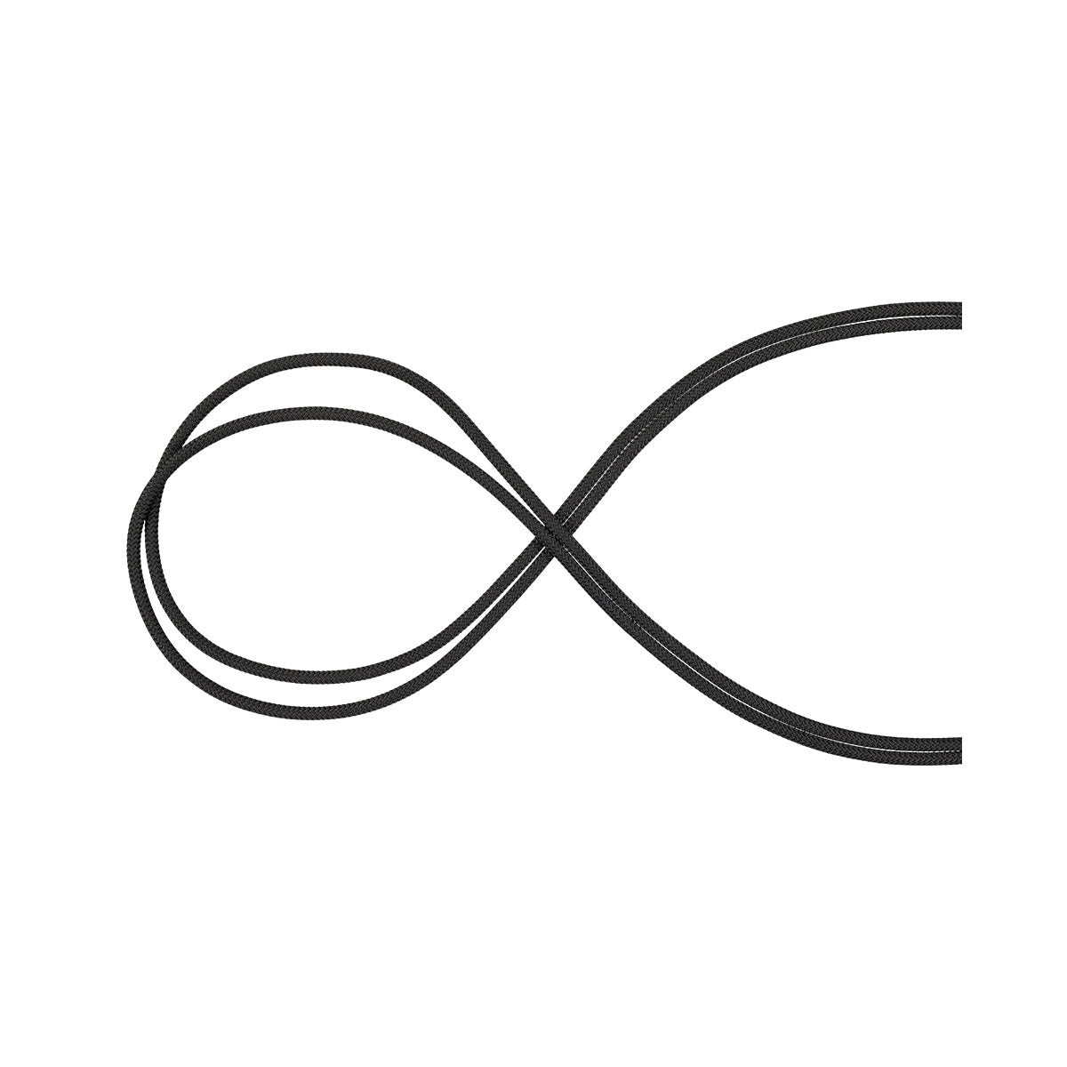 Coarda Statica Mammut Performance 10.5 Black