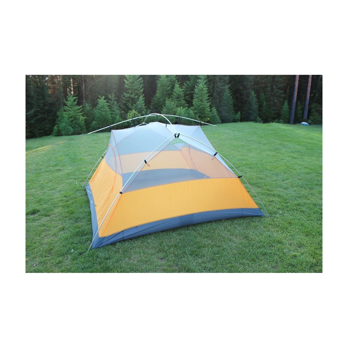 Cort Trimm Globe-D Lime Green/ Grey