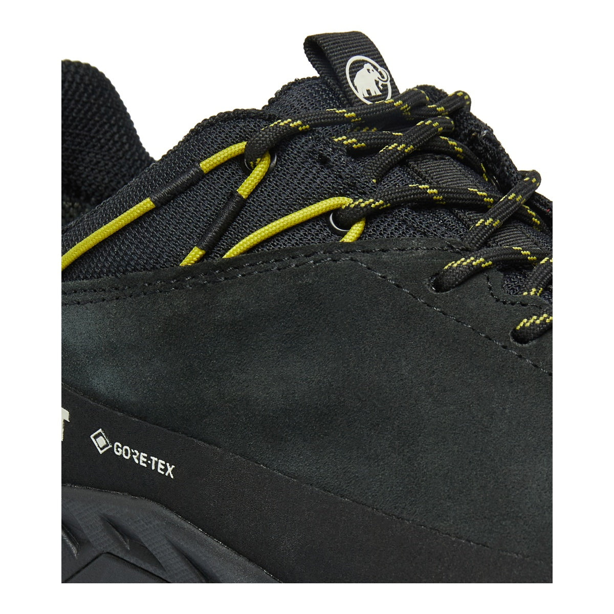 Pantofi Drumetie Barbati Mammut Alnasca IV Low LTH GTX Black