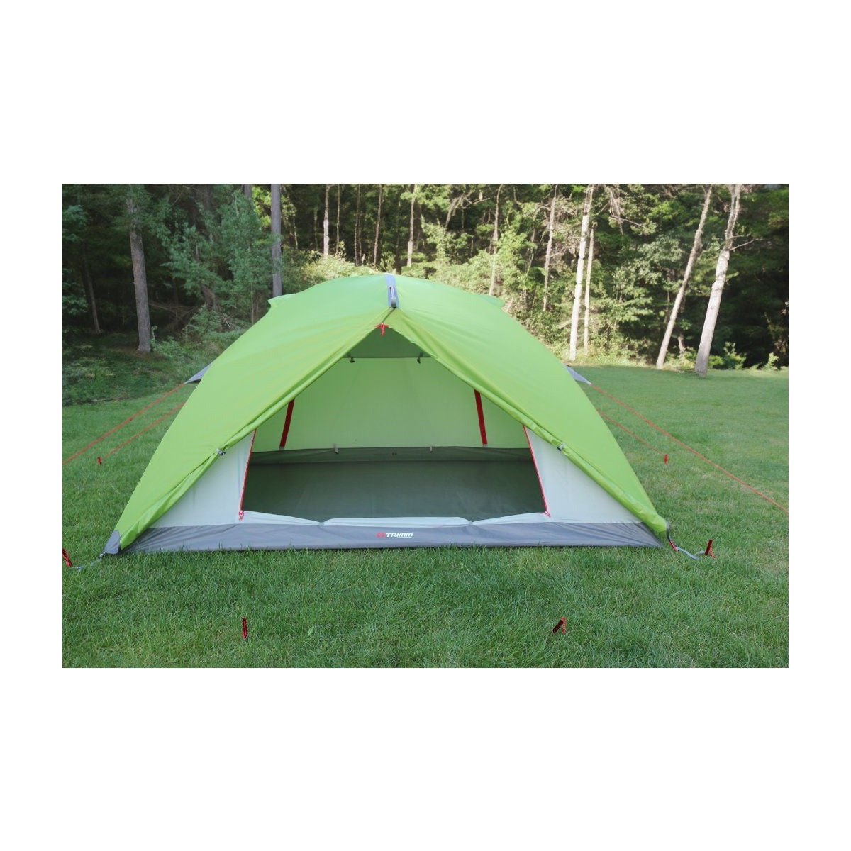Cort Trimm Thunder D Lime Green/ Grey
