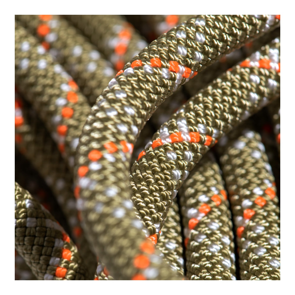 Coarda Dinamica Mammut 9.5 Gym Classic Rope 40m 40 M