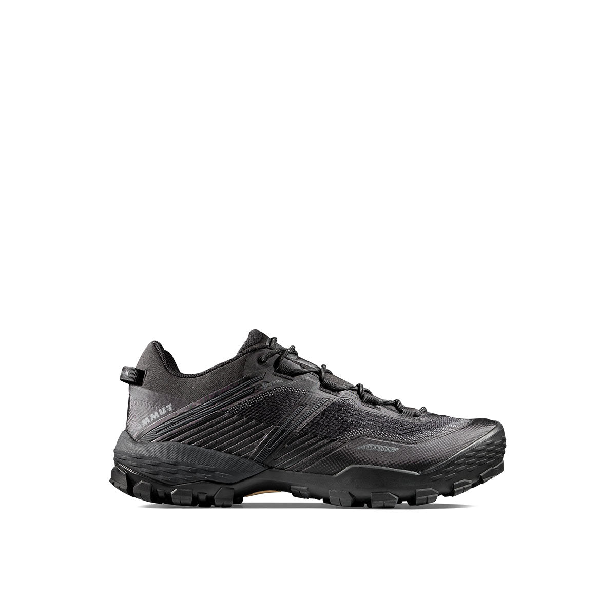 Pantofi Barbati Mammut Ducan Ii Low Gtx Black
