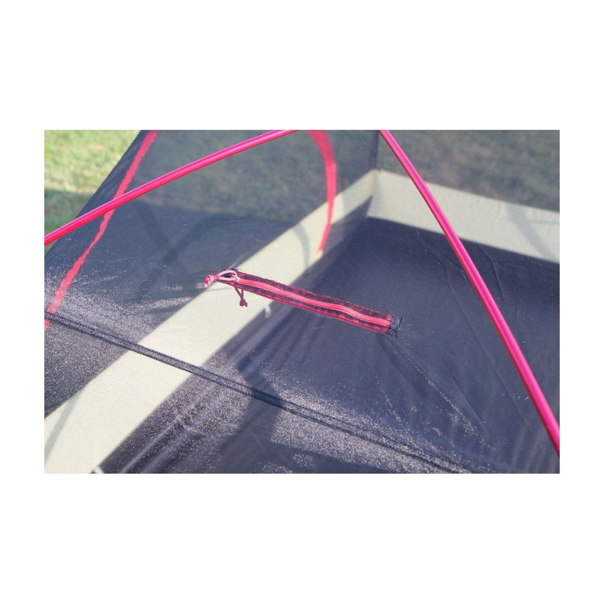 Cort Trimm Vector Dsl Bordo/ Grey