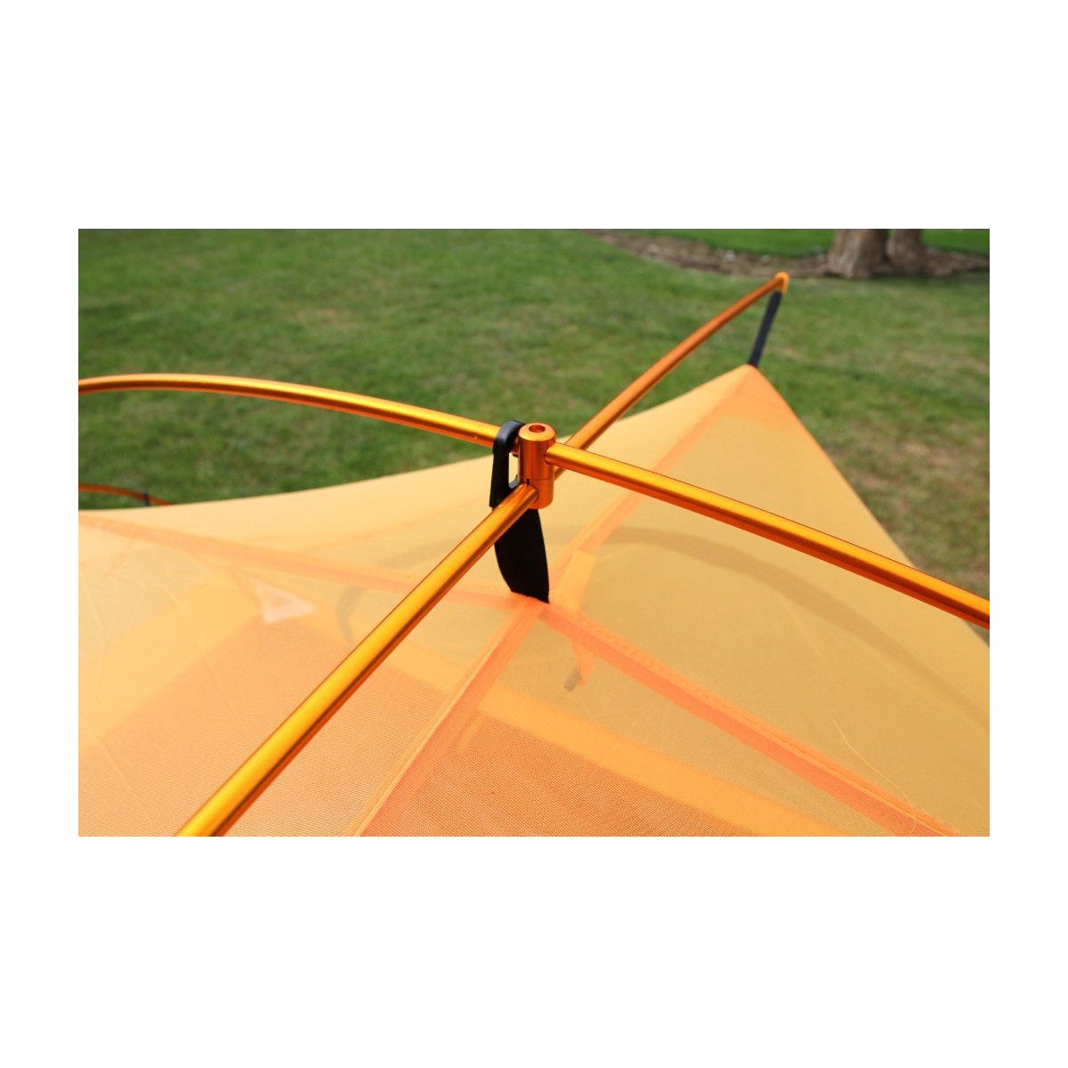 Cort Trimm Pioneer Dsl Orange