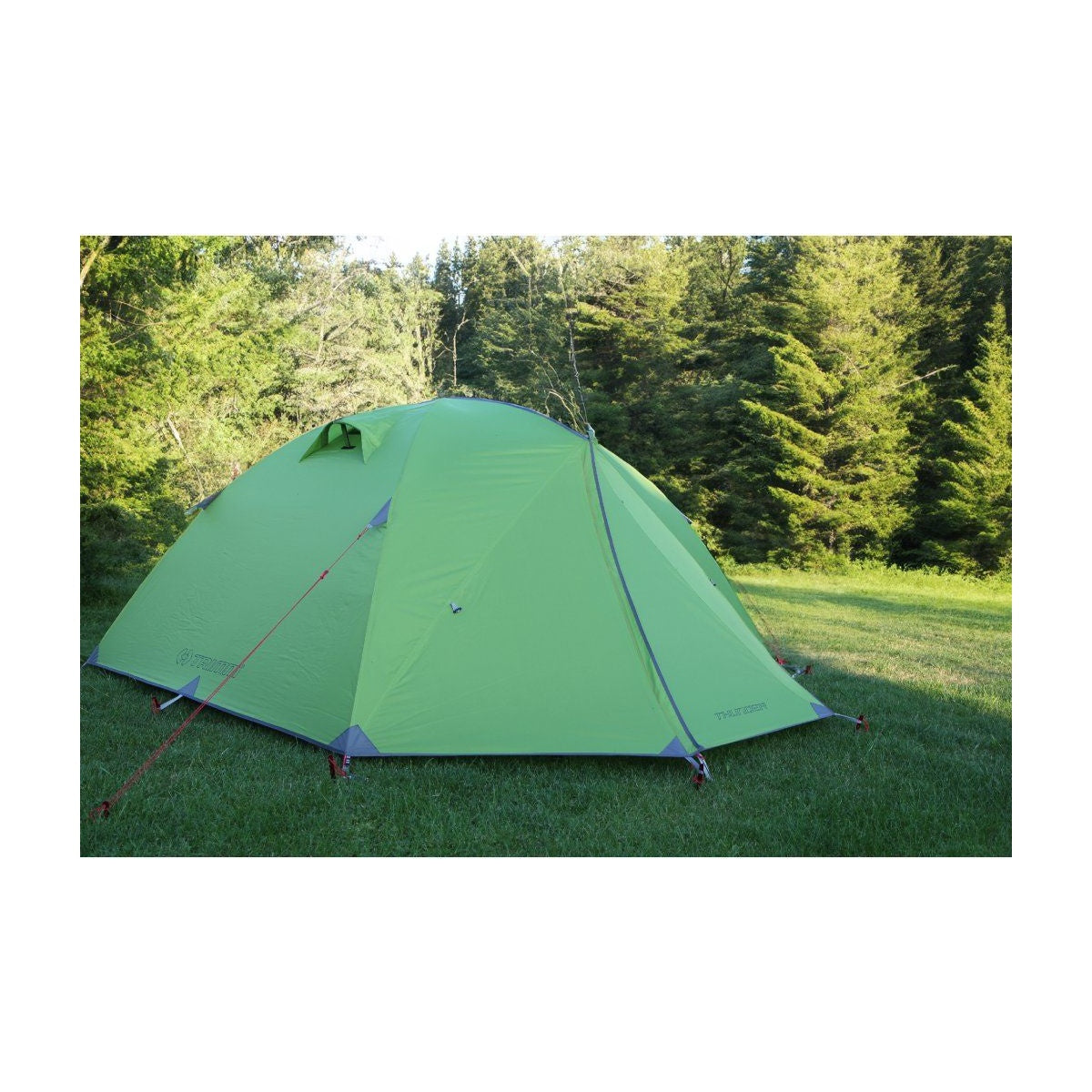 Cort Trimm Thunder D Lime Green/ Grey