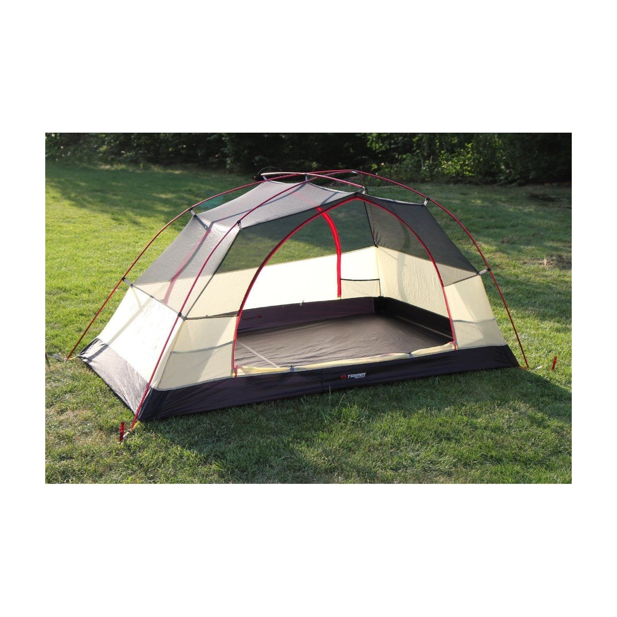 Cort Trimm Vector Dsl Bordo/ Grey