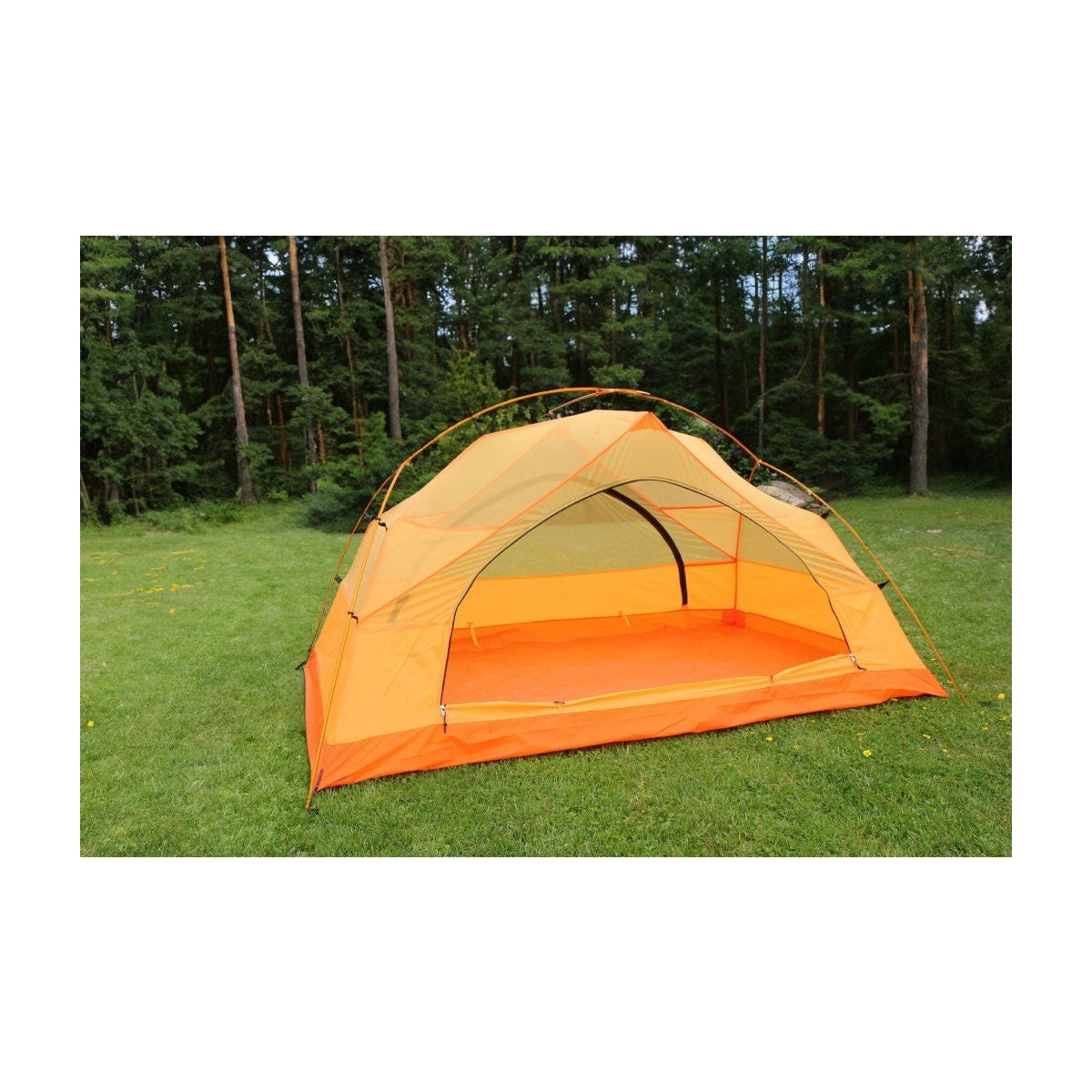 Cort Trimm Pioneer Dsl Orange