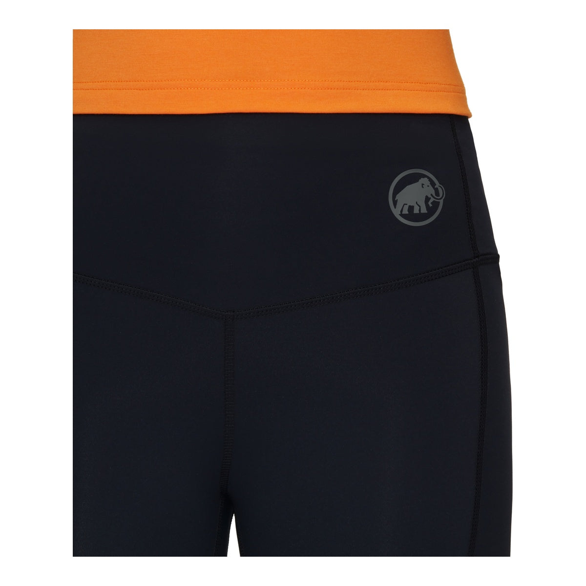 Colanti Femei Mammut Massone Tights Black