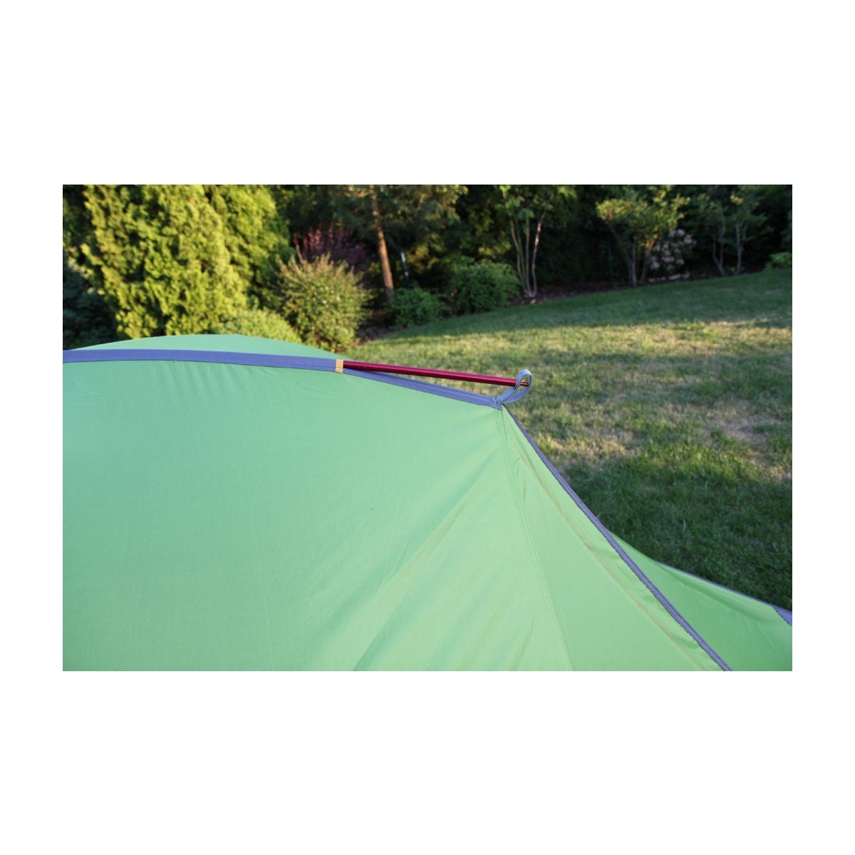 Cort Trimm Thunder D Lime Green/ Grey