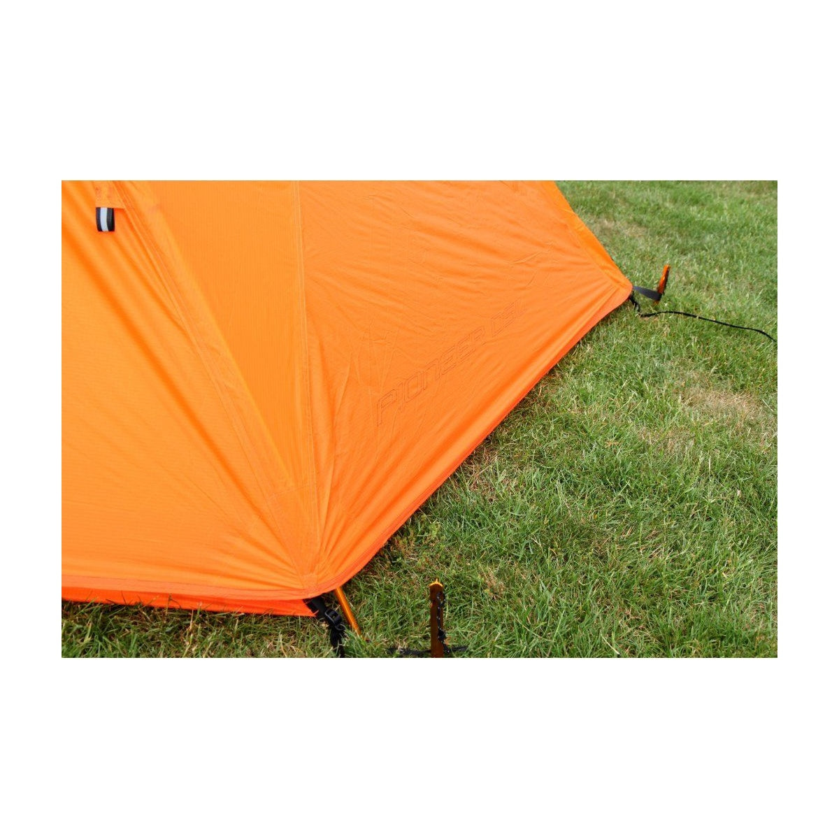 Cort Trimm Pioneer Dsl Orange