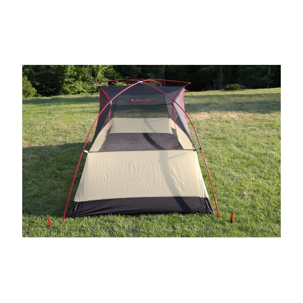 Cort Trimm Vector Dsl Bordo/ Grey
