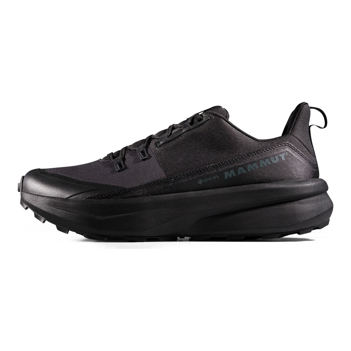 Pantofi Drumetie Barbati Mammut Aenergy Hike Low GTX Black