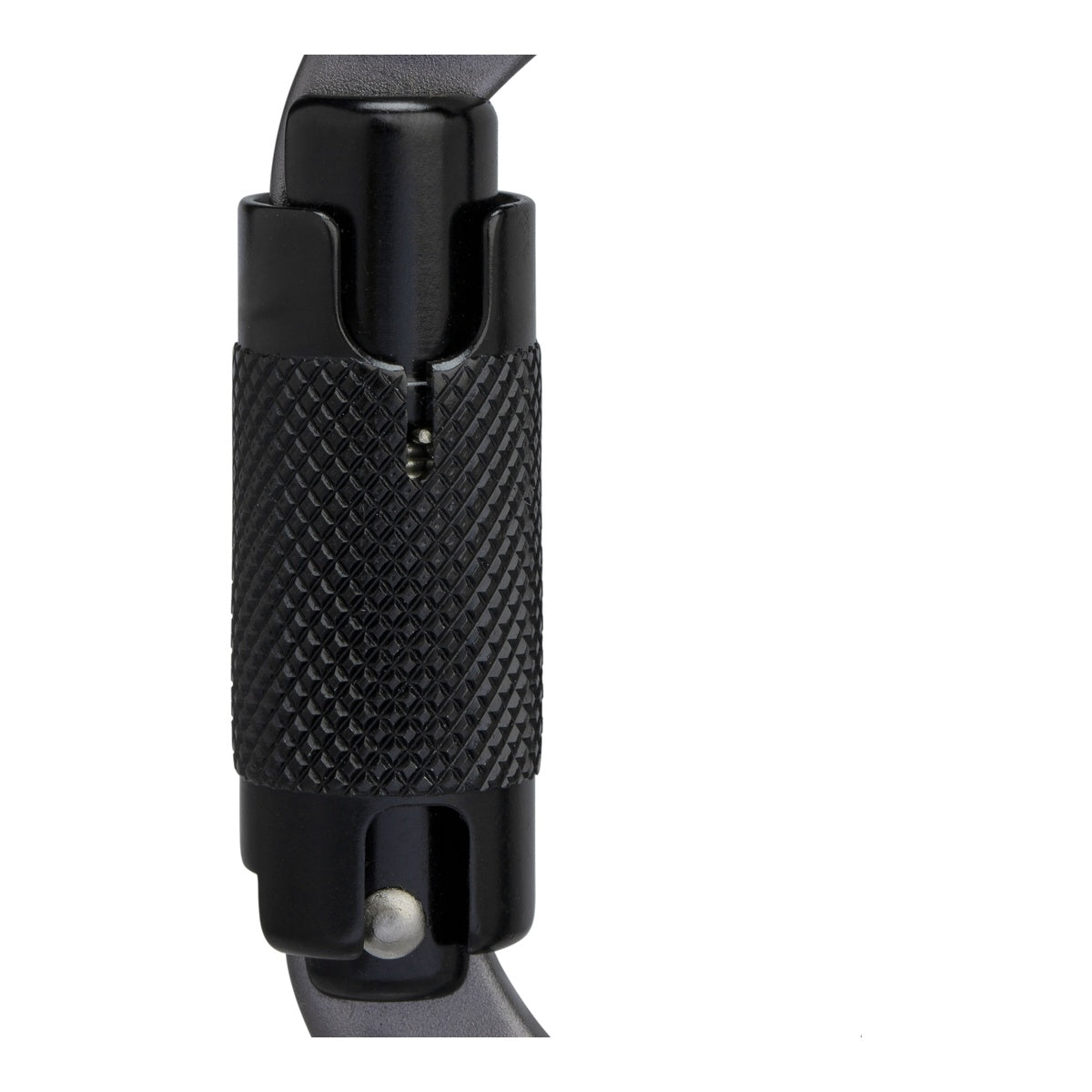 Carabiniera Mammut Sender Twistlock Grey