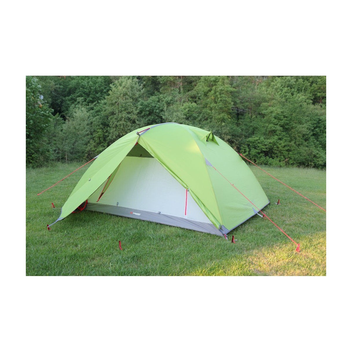 Cort Trimm Thunder D Lime Green/ Grey
