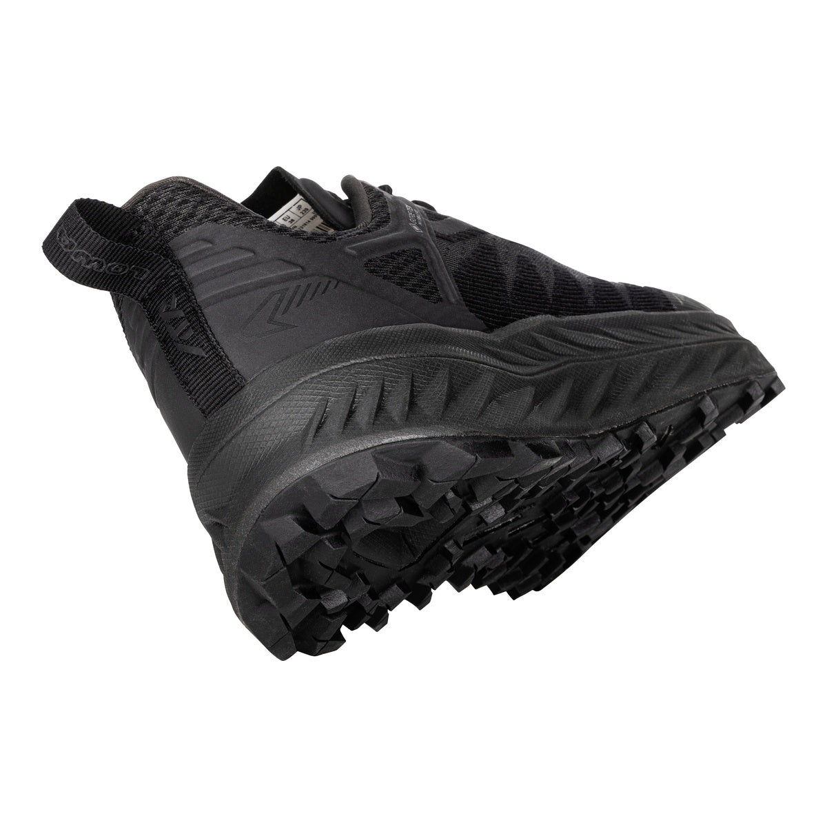 Pantofi Alergare Montana Femei Lowa Fortux GTX Black