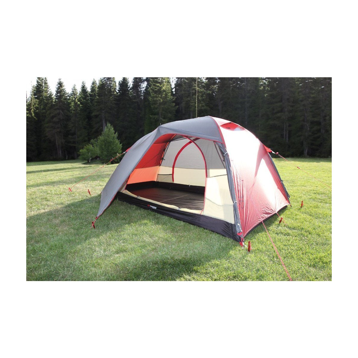 Cort Trimm Vector Dsl Bordo/ Grey