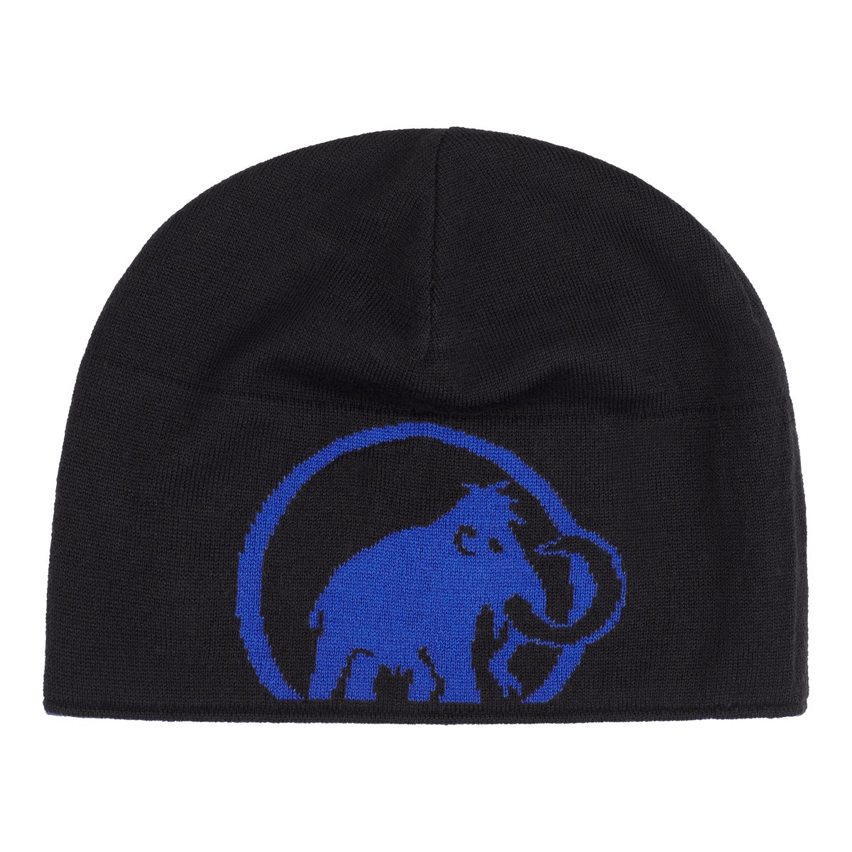 Caciula Mammut Logo Eiger Blue-Black