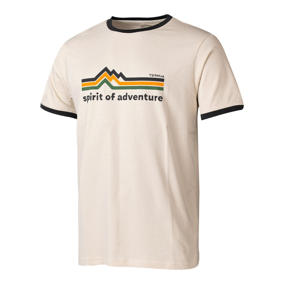 Tricou Barbati Ternua APUT REGENERATIVE Grey