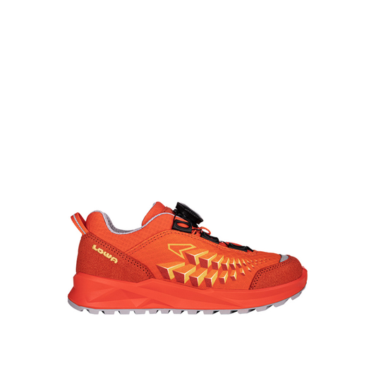 Incaltaminte Ferrox GTX Lo