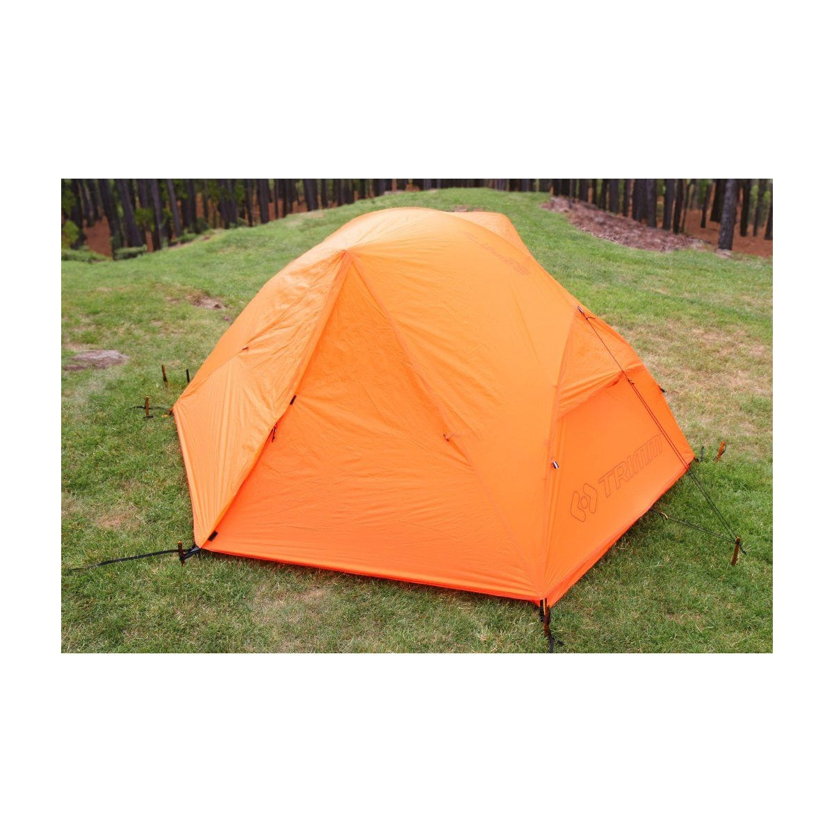 Cort Trimm Pioneer Dsl Orange