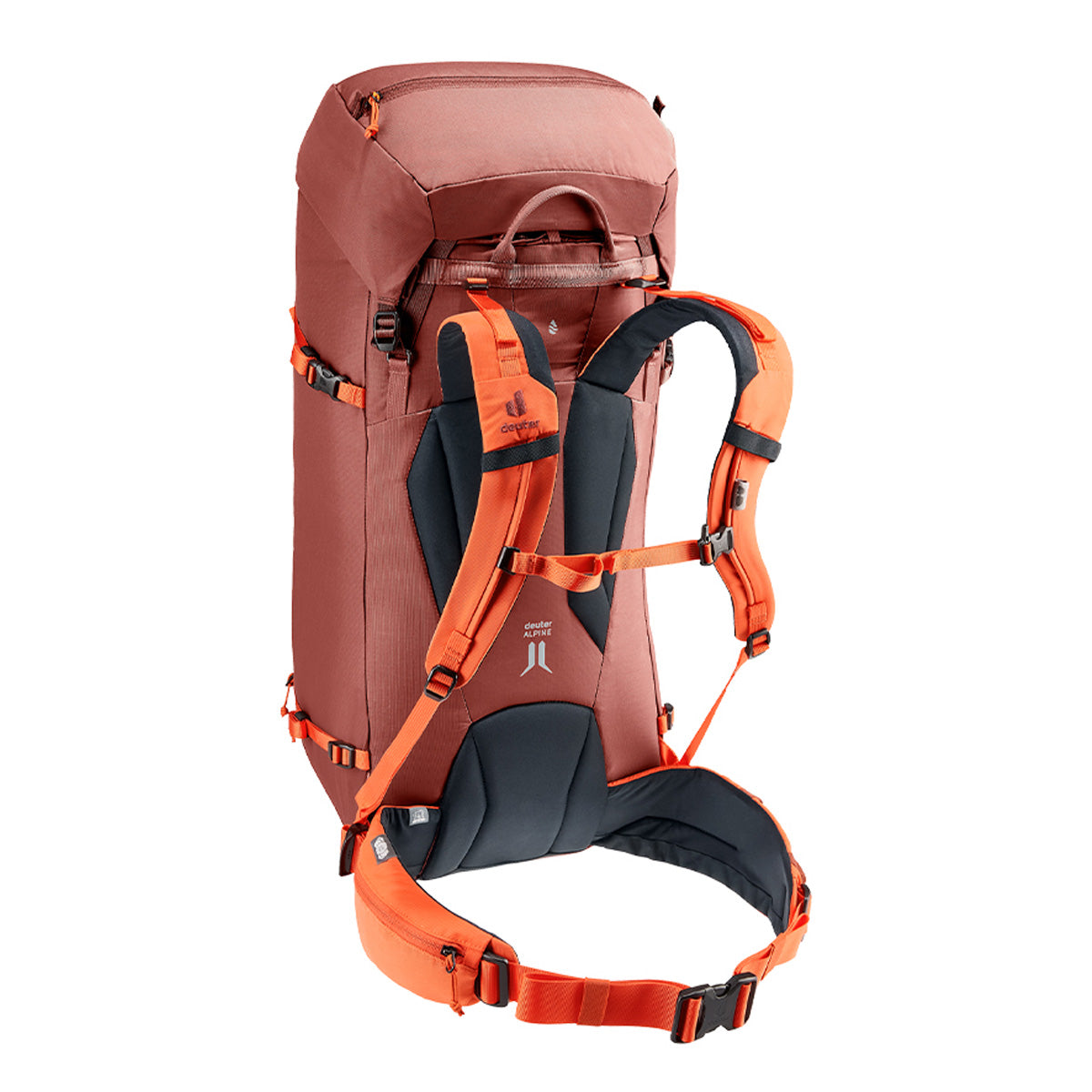 Guide 44+8 Redwood-Papaya