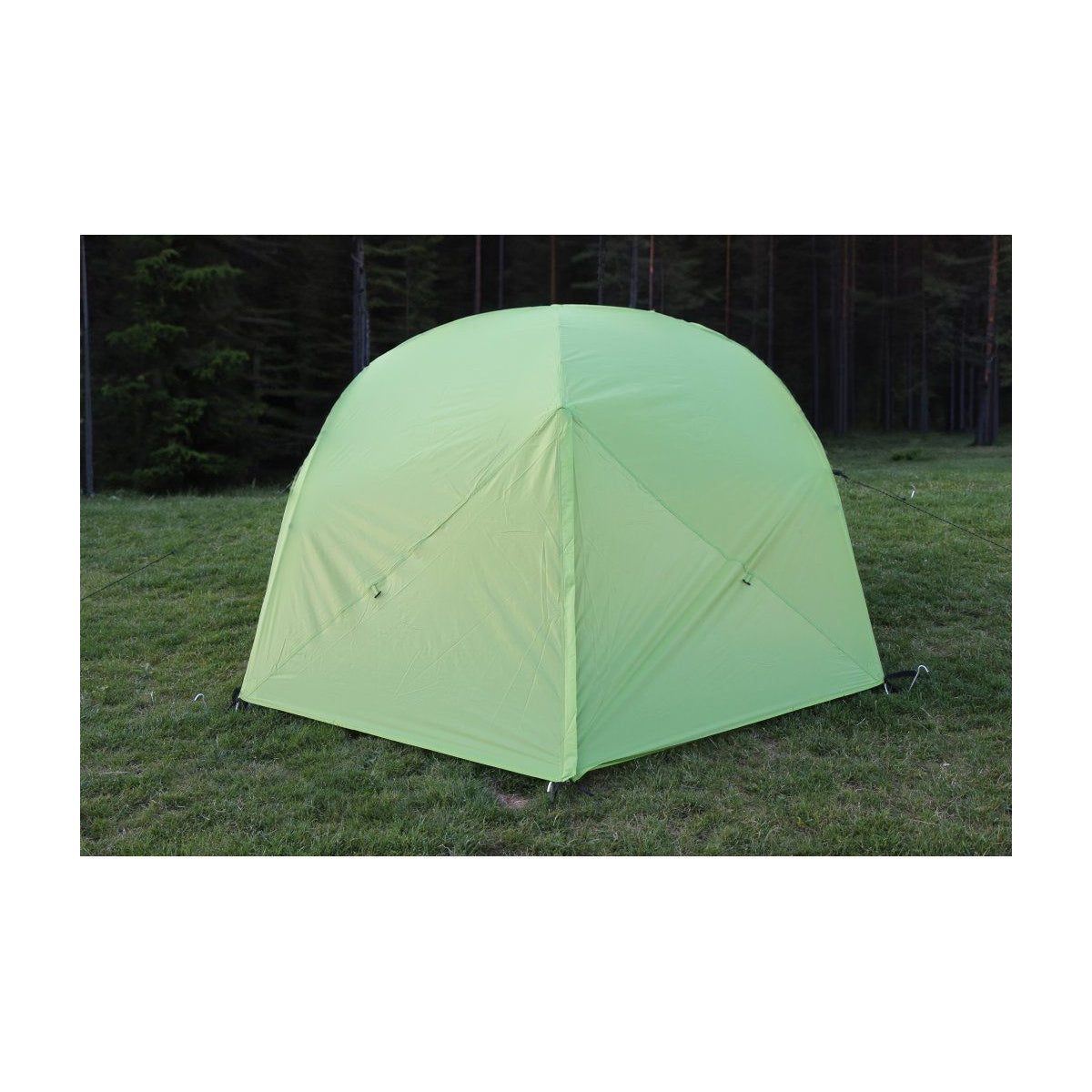 Cort Trimm Globe-D Lime Green/ Grey