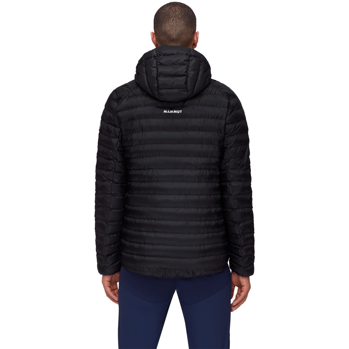 Jacheta Barbati Mammut Albula In Hooded Black