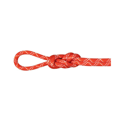 Coarda Dinamica Mammut Gym Classic 9.5 Raspberry-White 40M