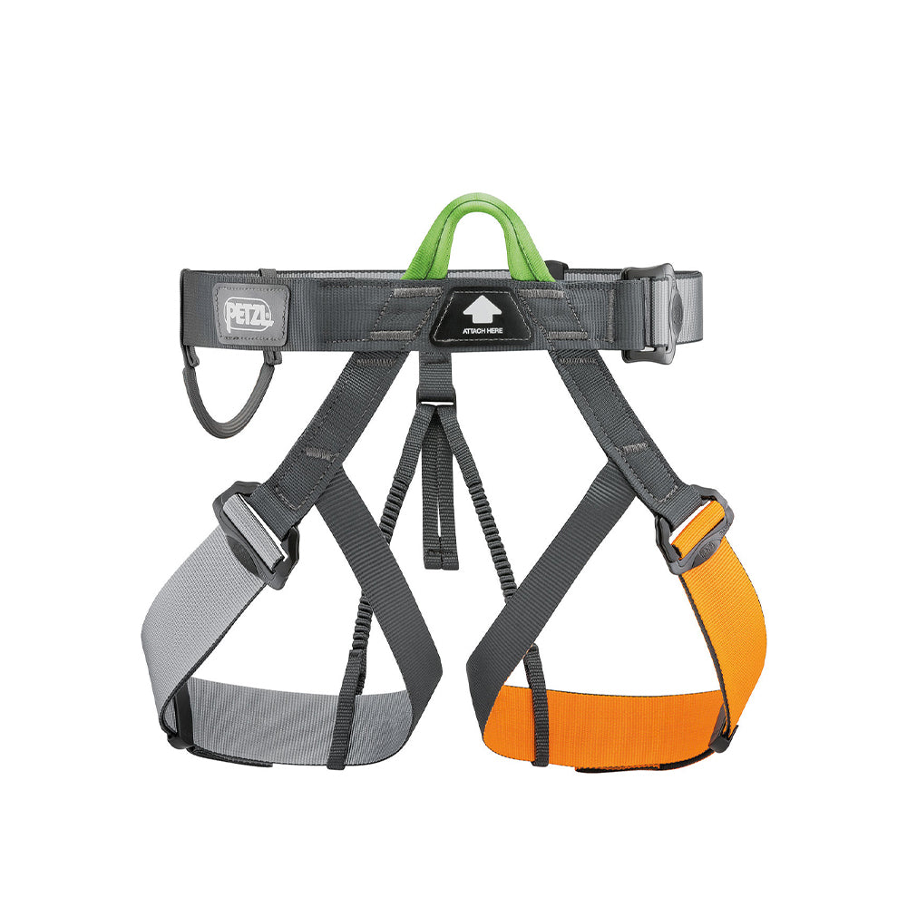 Ham Pandion C029Aa00