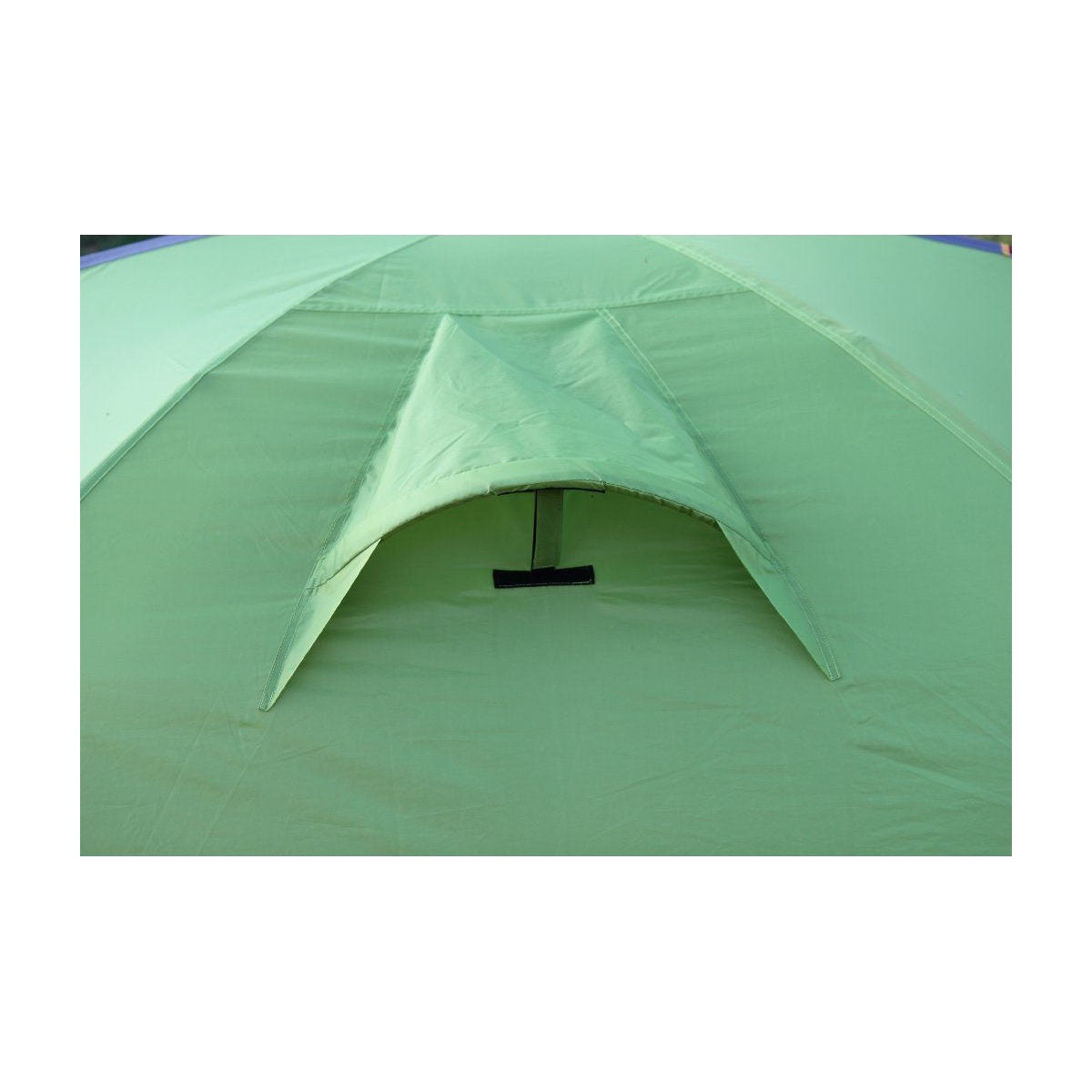Cort Trimm Thunder D Lime Green/ Grey