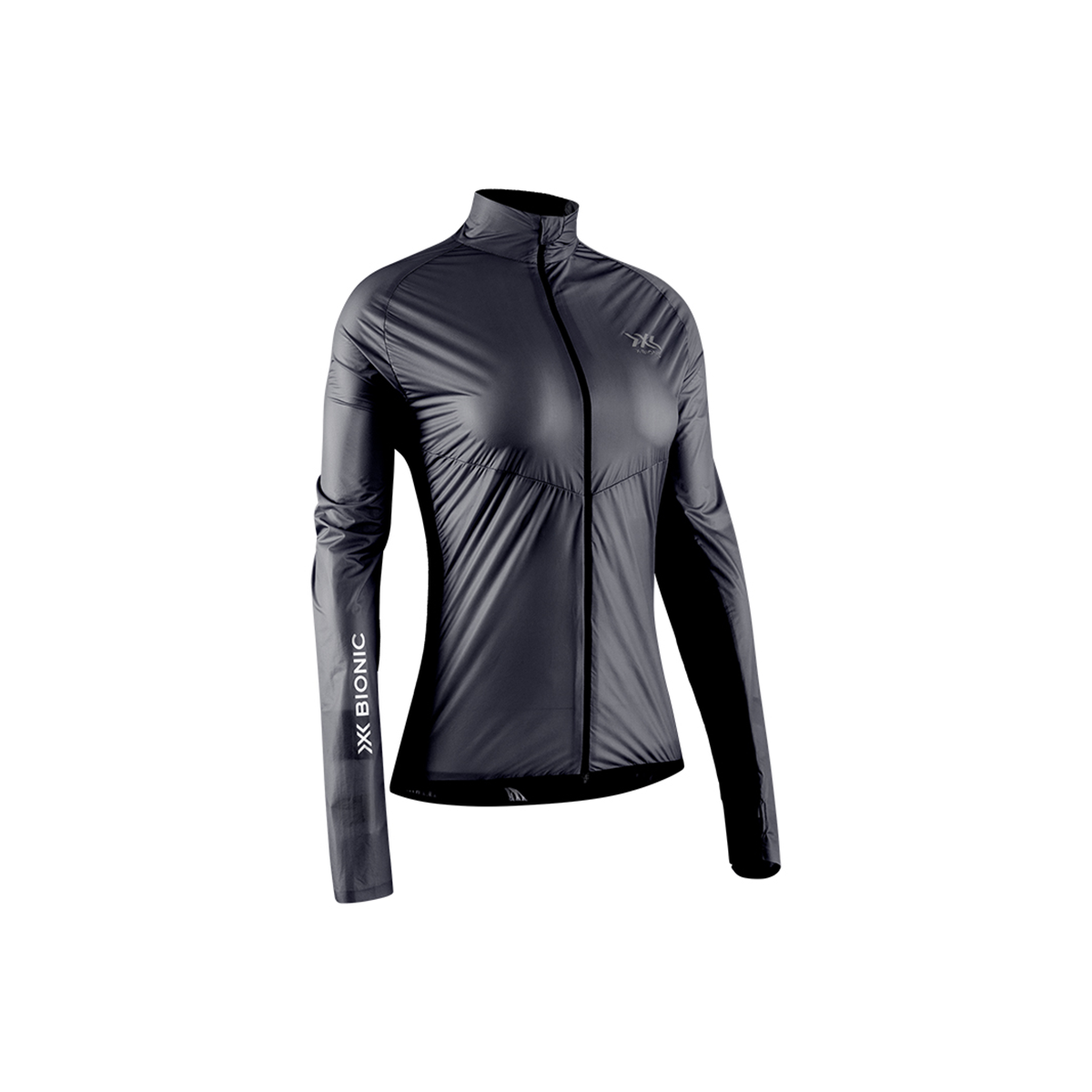 Jacheta Dama Running Streamlite 4.0