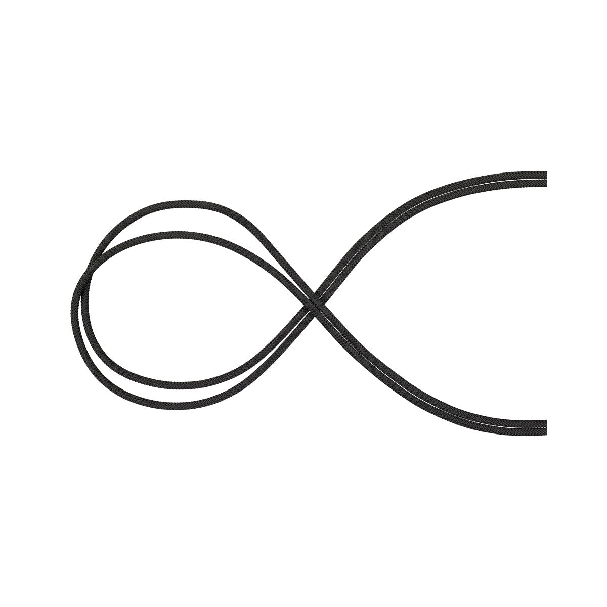 Coarda Statica Mammut Performance 10.5 Black