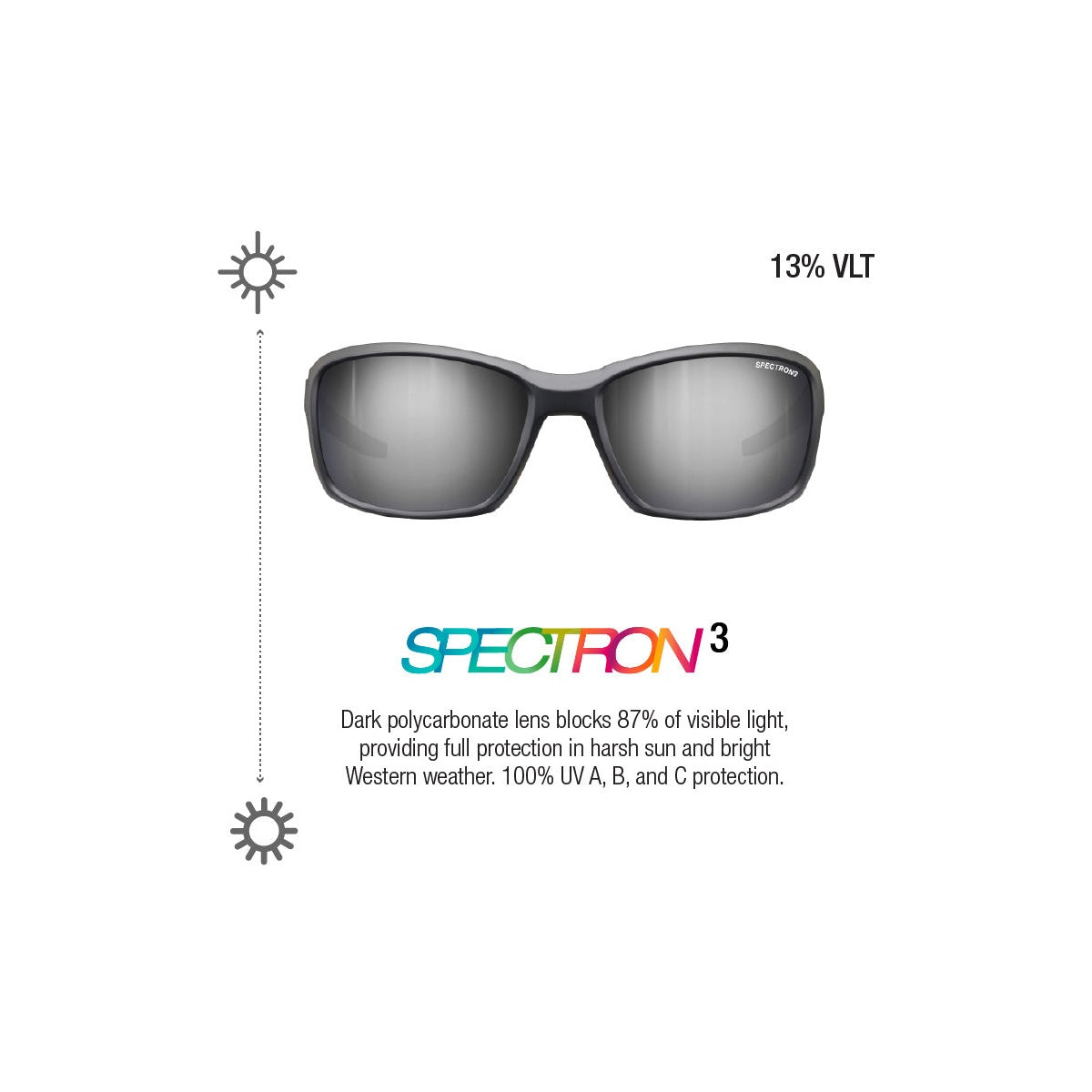 Ochelari Whoops Matt Black Spectron 3