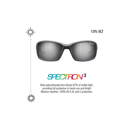 Ochelari Whoops Matt Black Spectron 3
