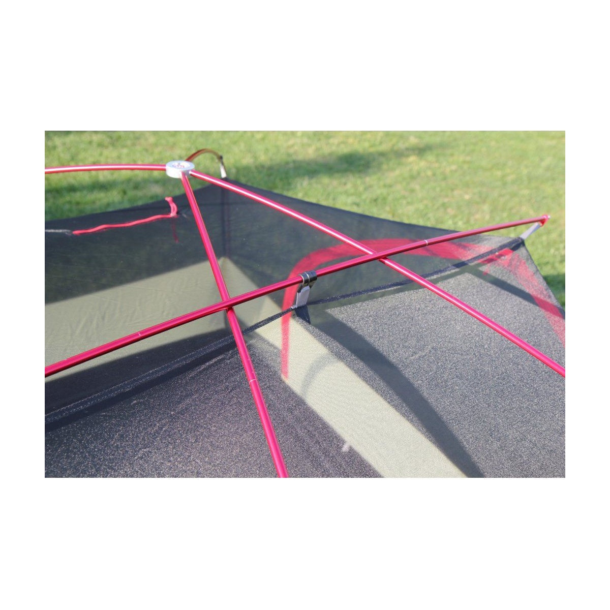 Cort Trimm Vector Dsl Bordo/ Grey